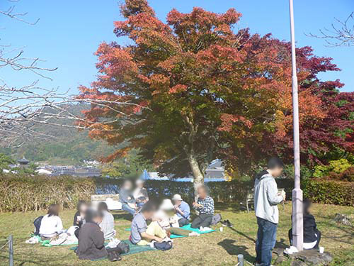 公園でブルーシートを広げてランチを食べる場面